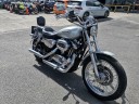 Harley-davidson Xl 1200 Low Sportster 