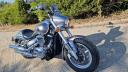 Suzuki Intruder 800 800 VL Custom Cruiser Petrol Manual (53 ps)